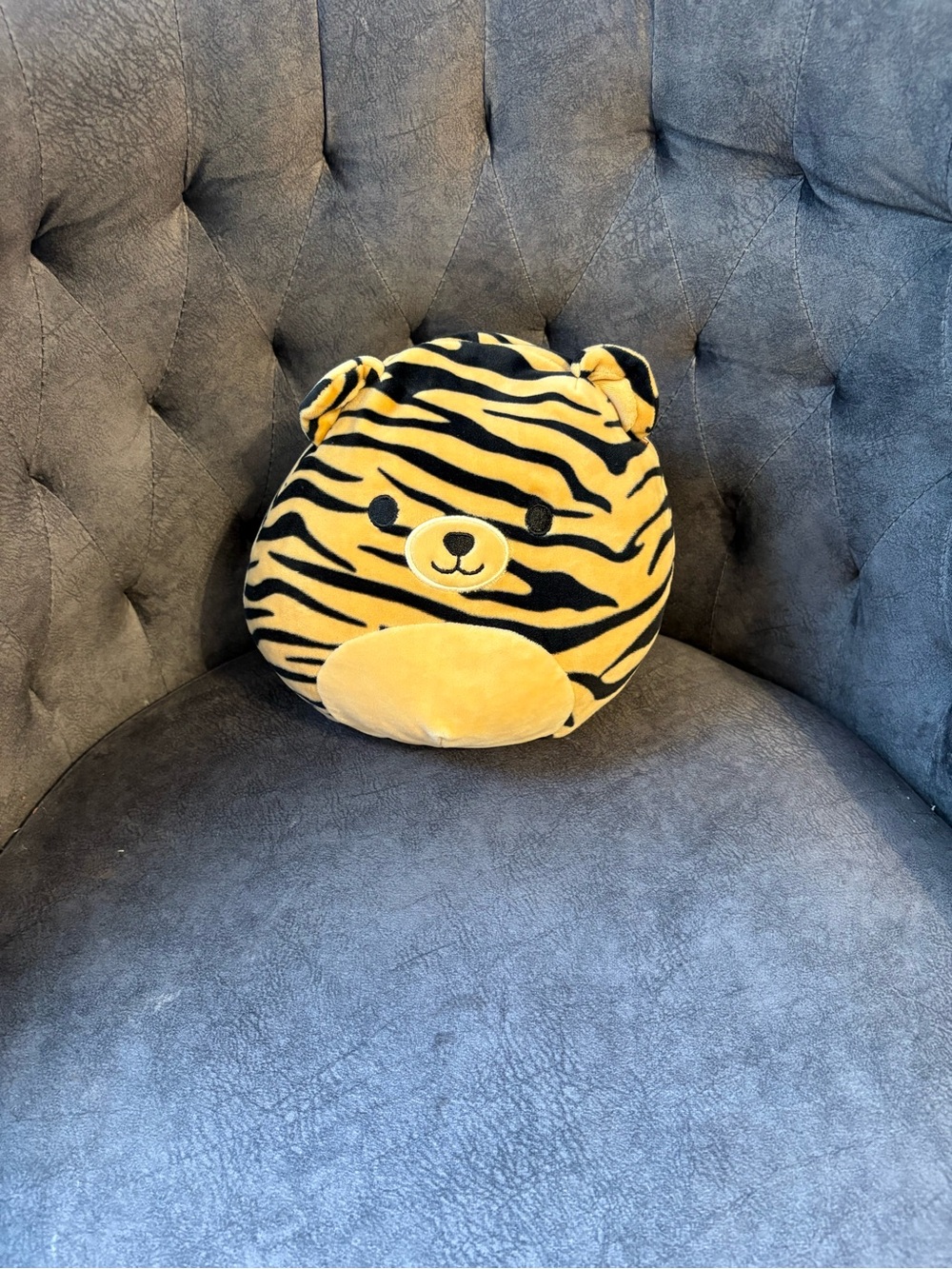 Tina the Tiger Squishmallow “8